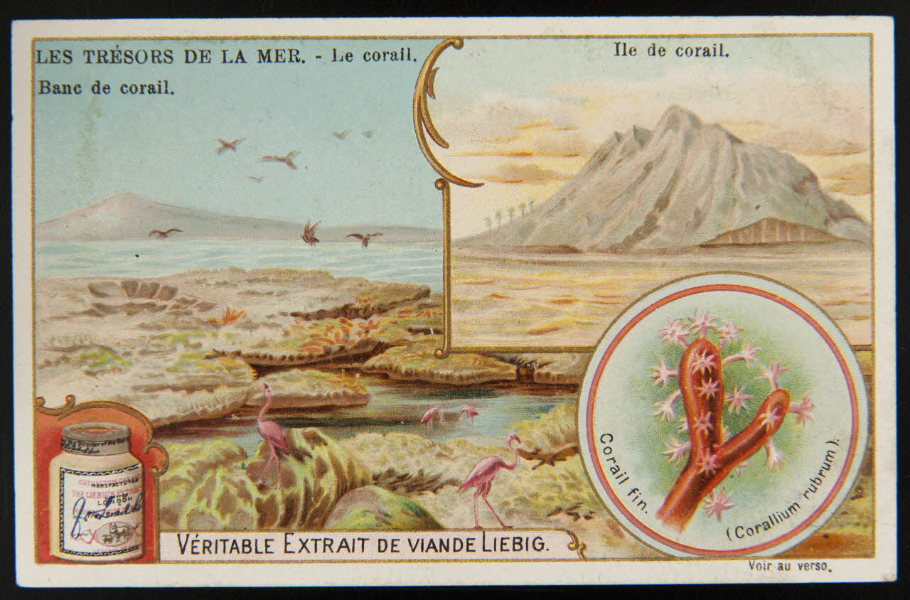 carte réclame chromo Anvers 1902 1995.1.928.6 Photo