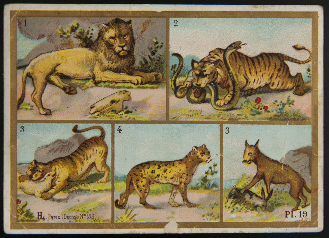 Imprimerie H. Laas carte réclame chromo Paris 1878-1905 1995.1.966.10 Photo