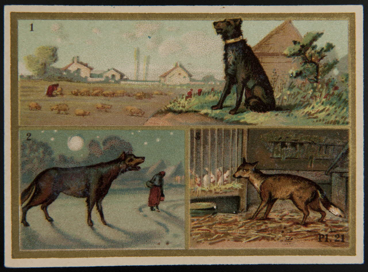 Alphonse Picard ; Kann ; Imprimerie H. Laas carte réclame chromo Paris 1878-1905 1995.1.966.12 Photo