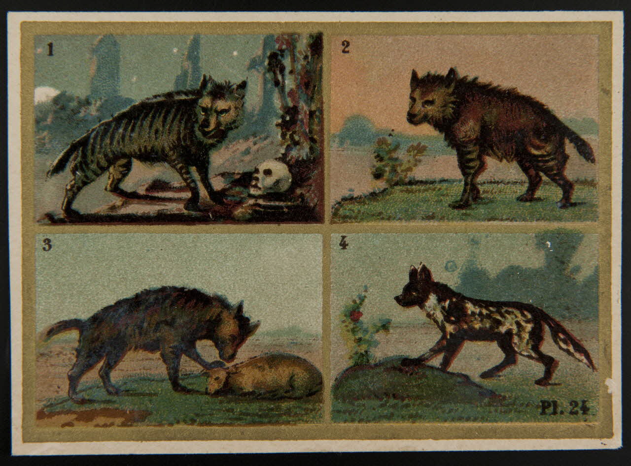 Alphonse Picard ; Kann ; Imprimerie H. Laas carte réclame chromo Paris 1878-1905 1995.1.966.13 Photo