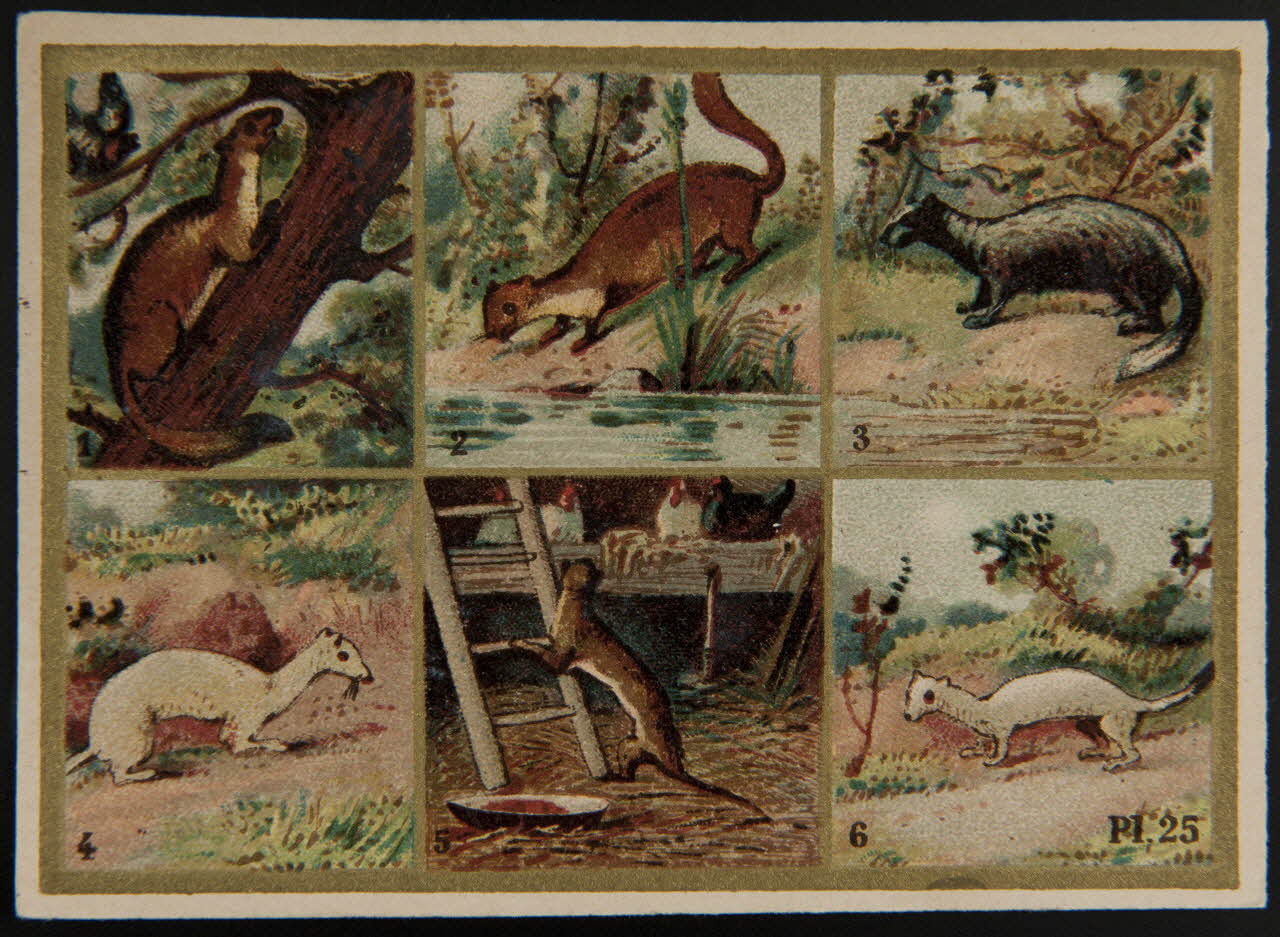 Alphonse Picard ; Kann ; Imprimerie H. Laas carte réclame chromo Paris 1878-1905 1995.1.966.14 Photo