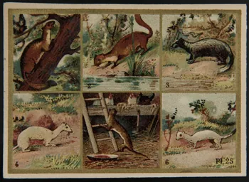 Alphonse Picard ; Kann ; Imprimerie H. Laas carte réclame chromo Paris 1878-1905 1995.1.966.14  Photo