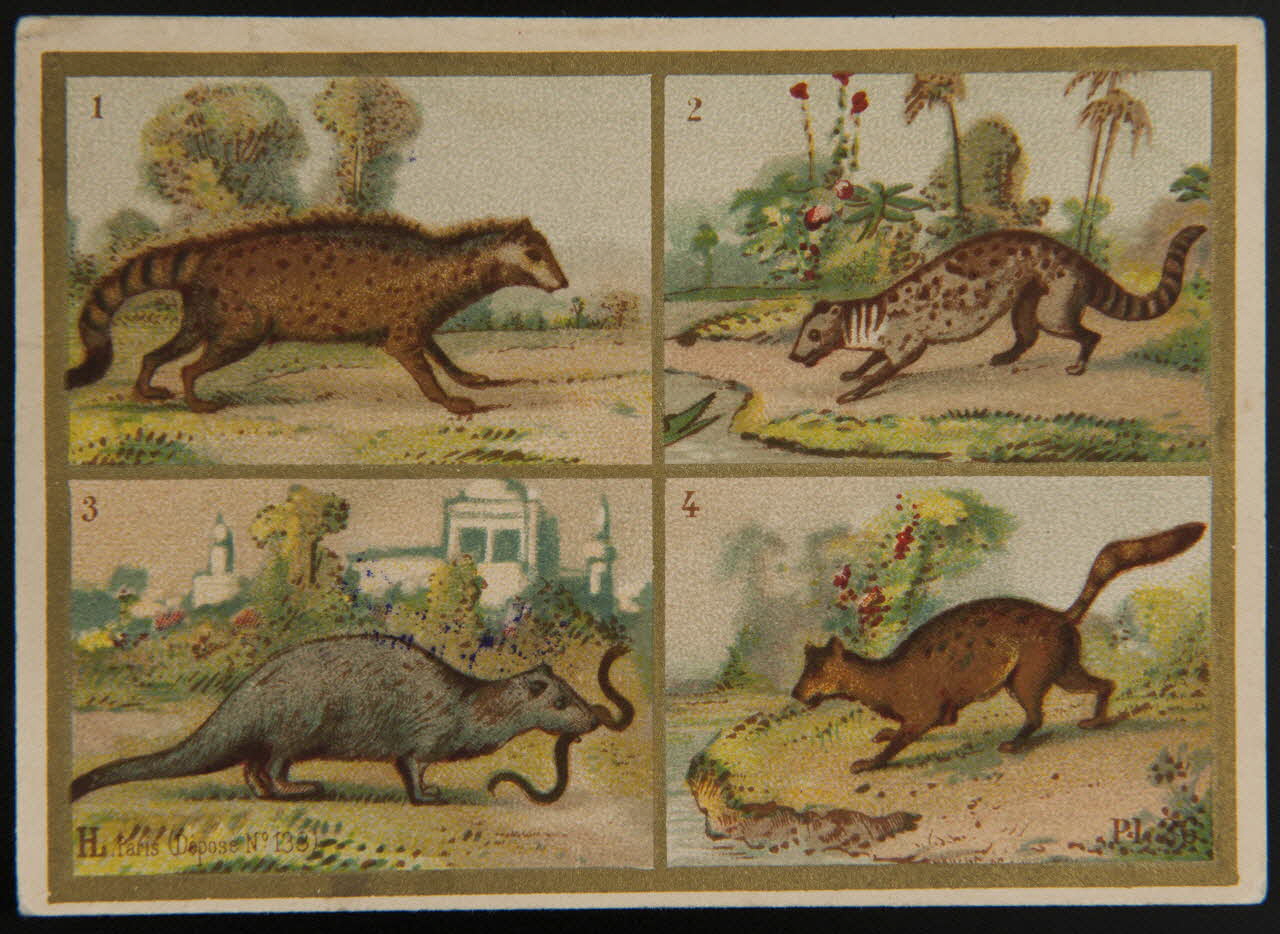 Imprimerie H. Laas carte réclame chromo Paris 1878-1905 1995.1.966.15 Photo