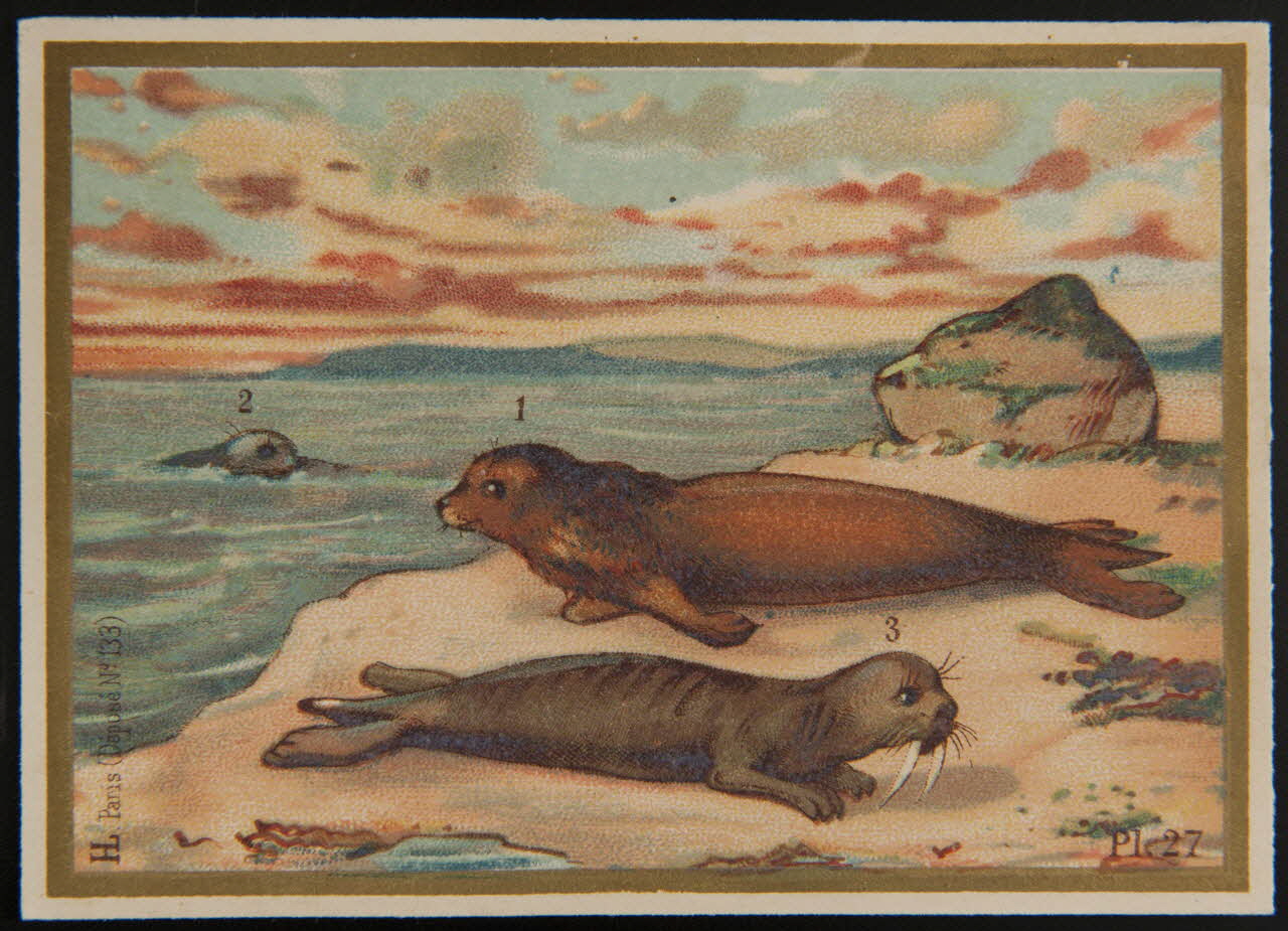 Imprimerie H. Laas carte réclame chromo Paris 1878-1905 1995.1.966.16 Photo