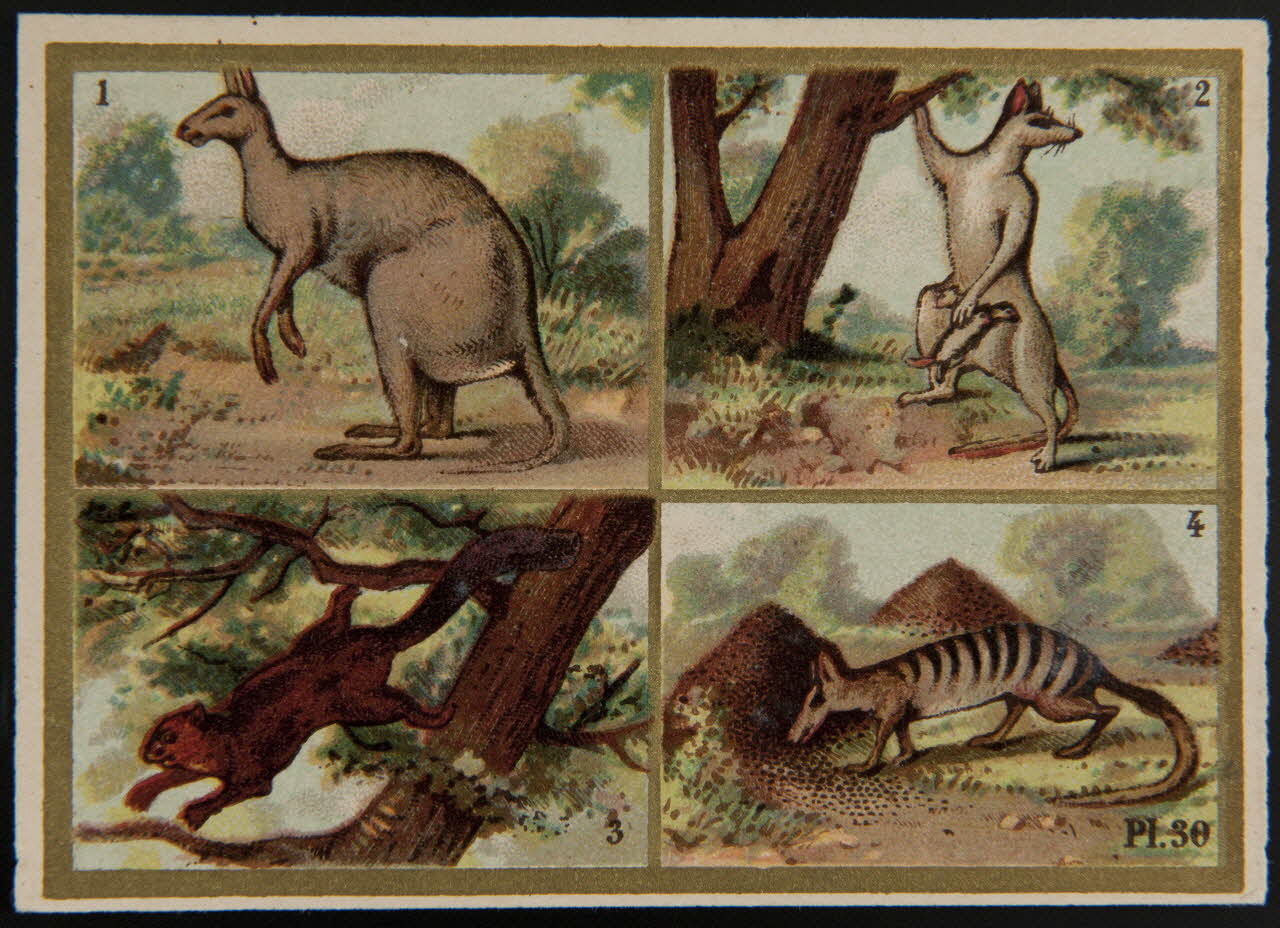 Alphonse Picard ; Kann ; Imprimerie H. Laas carte réclame chromo Paris 1878-1905 1995.1.966.17 Photo