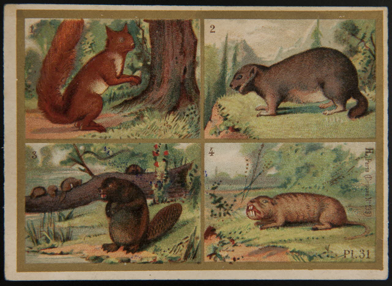 Imprimerie H. Laas carte réclame chromo Paris 1878-1905 1995.1.966.18 Photo