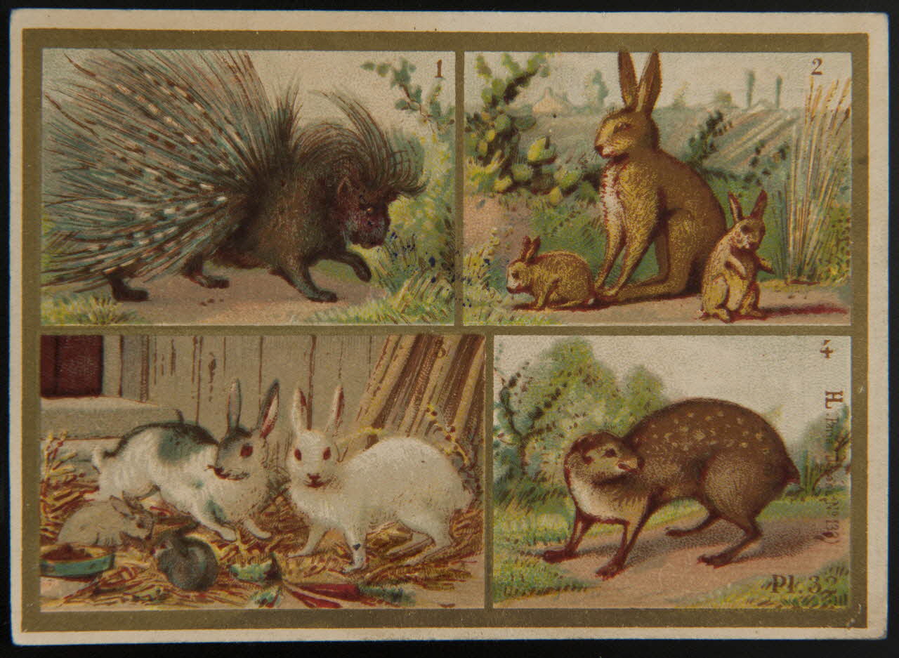 Imprimerie H. Laas carte réclame chromo Paris 1878-1905 1995.1.966.19 Photo