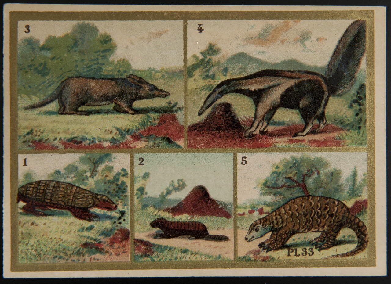 Alphonse Picard ; Kann ; Imprimerie H. Laas carte réclame chromo Paris 1878-1905 1995.1.966.20 Photo