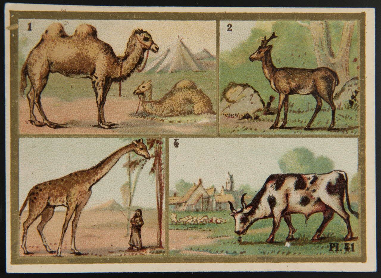 Alphonse Picard ; Kann ; Imprimerie H. Laas carte réclame chromo Paris 1878-1905 1995.1.966.24 Photo