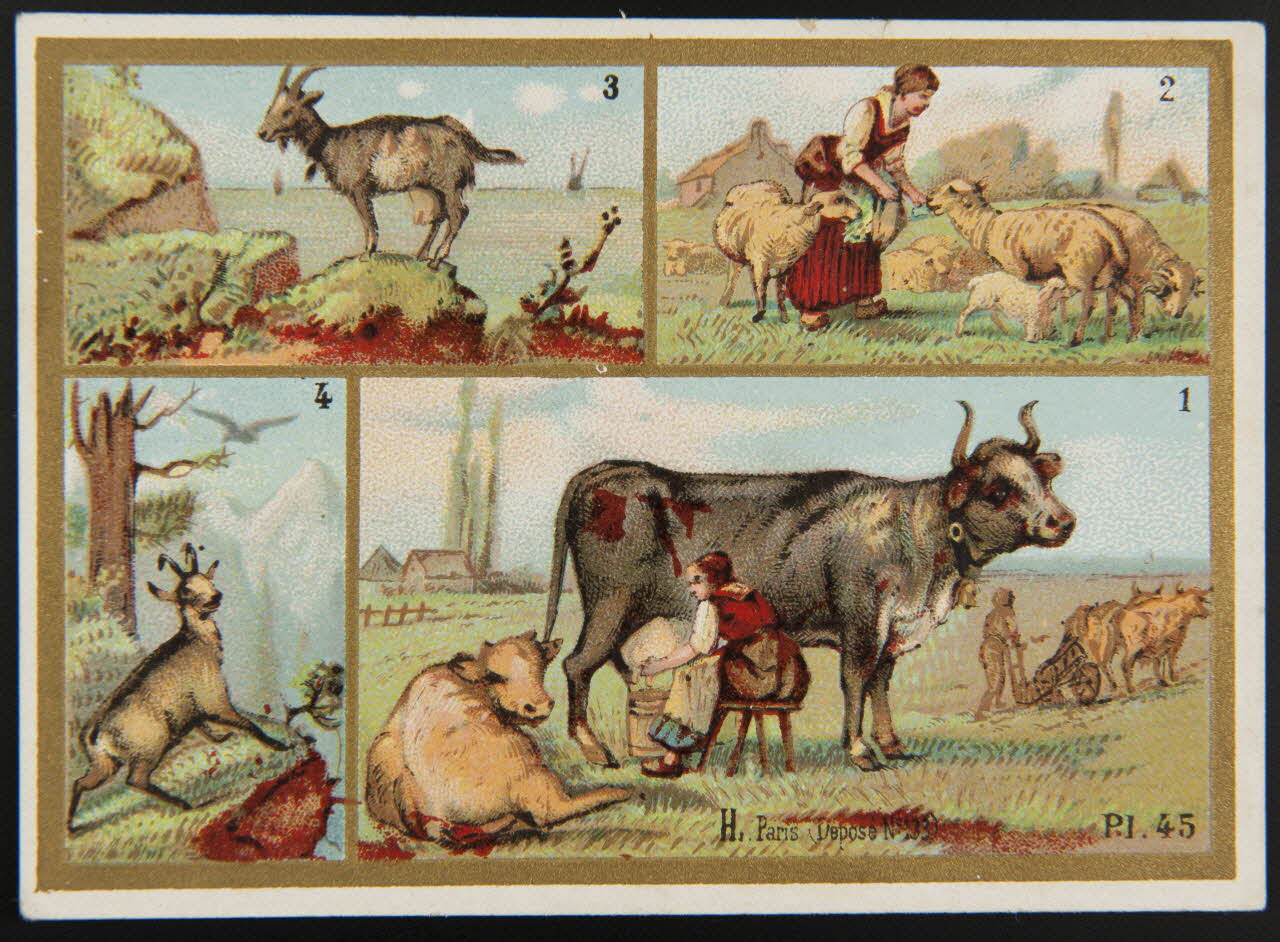 Imprimerie H. Laas carte réclame chromo Paris 1878-1905 1995.1.966.27 Photo