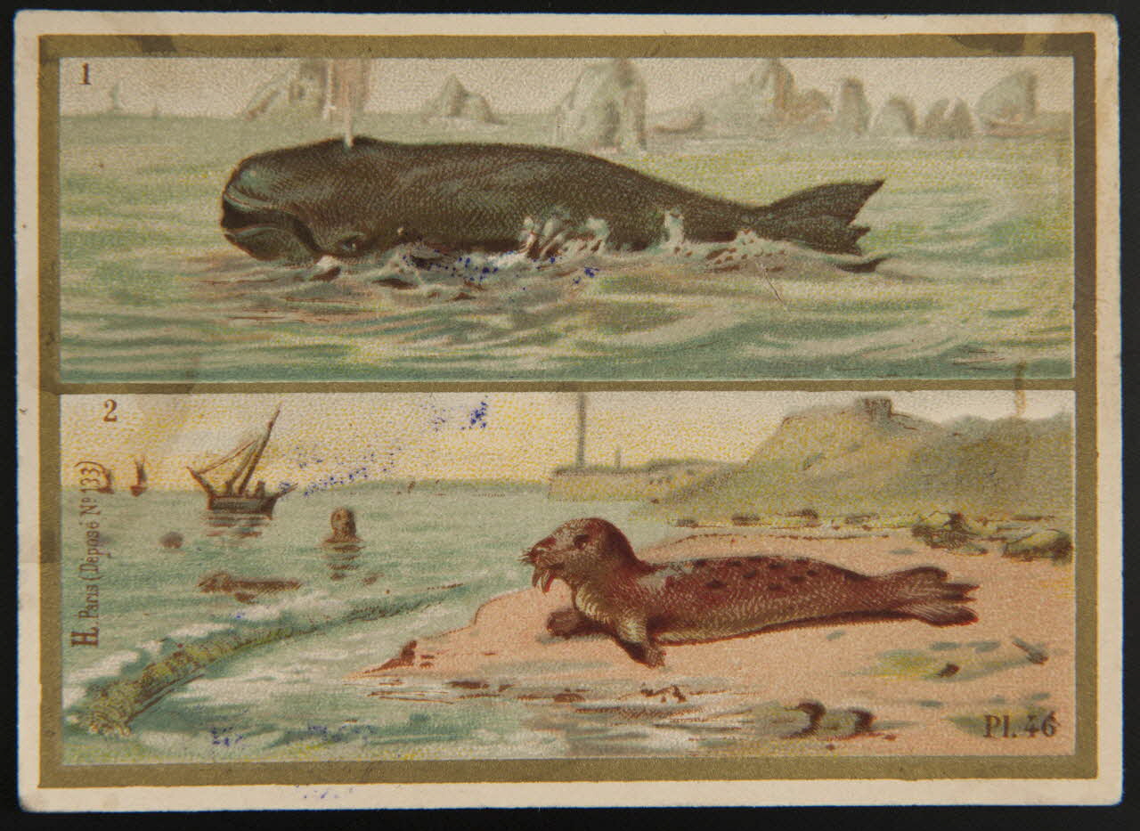 Imprimerie H. Laas carte réclame chromo Paris 1878-1905 1995.1.966.28 Photo