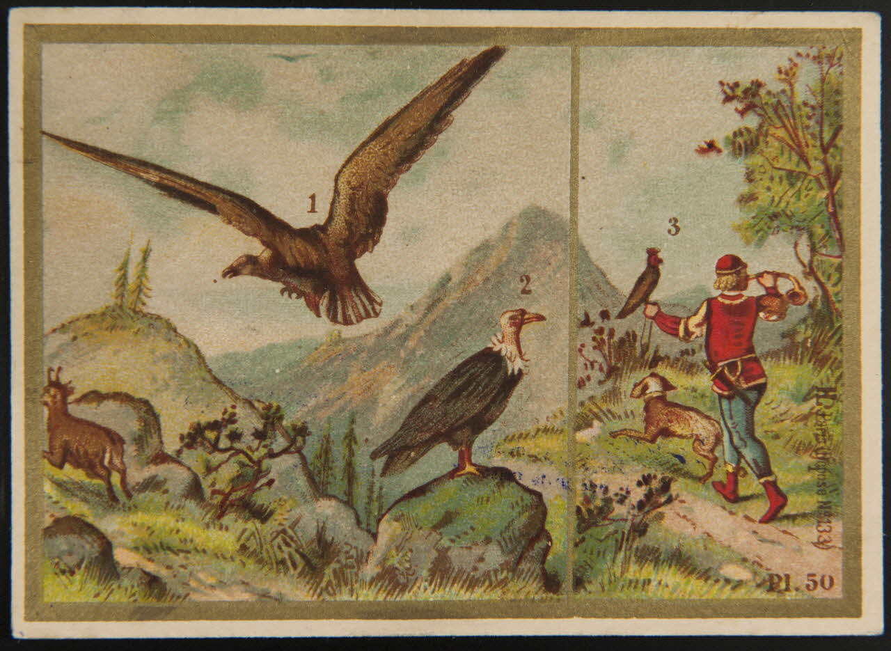 Imprimerie H. Laas carte réclame chromo Paris 1878-1905 1995.1.966.29 Photo