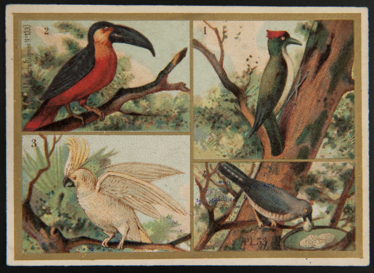 Imprimerie H. Laas carte réclame chromo Paris 1878-1905 1995.1.966.31 Photo