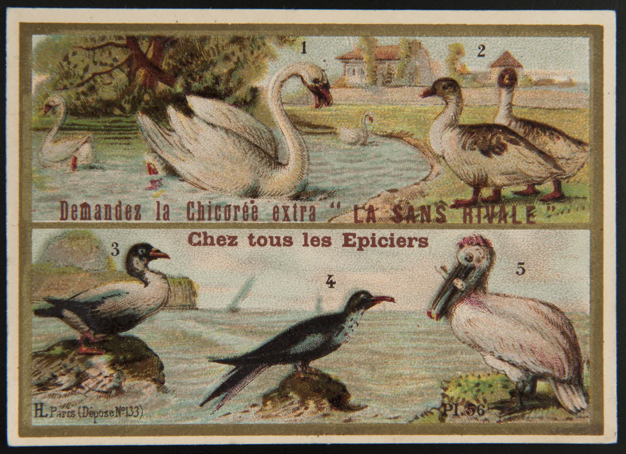 Imprimerie H. Laas carte réclame chromo Paris 1878-1905 1995.1.966.33 Photo