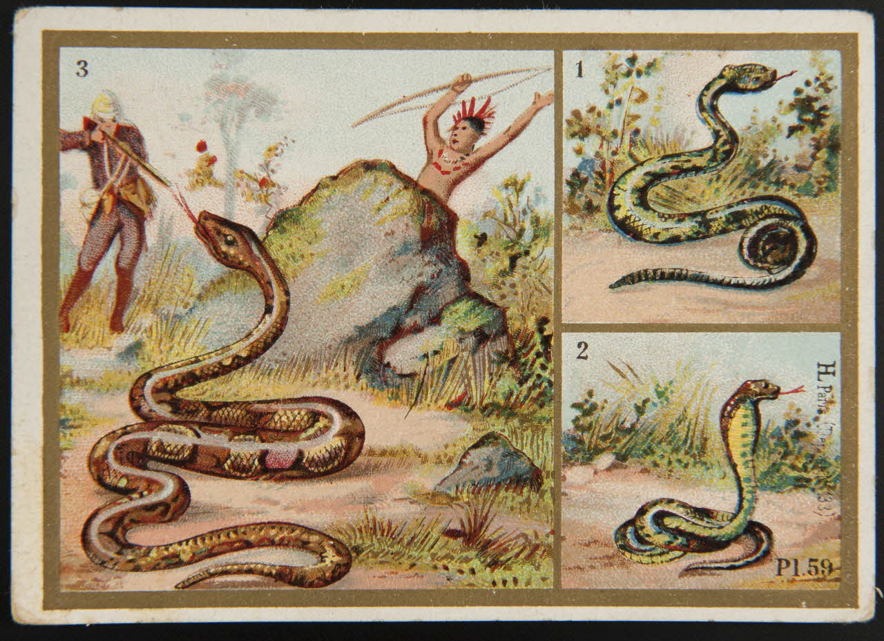 Imprimerie H. Laas carte réclame chromo Paris 1878-1905 1995.1.966.35 Photo