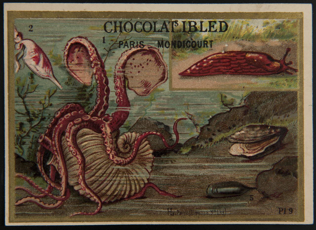 Imprimerie H. Laas carte réclame chromo Paris 1878-1905 1995.1.966.4 Photo