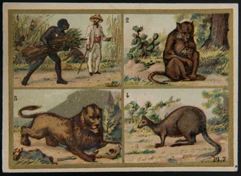Alphonse Picard ; Kann ; Imprimerie H. Laas carte réclame chromo Paris 1878-1905 1995.1.966.6 Photo