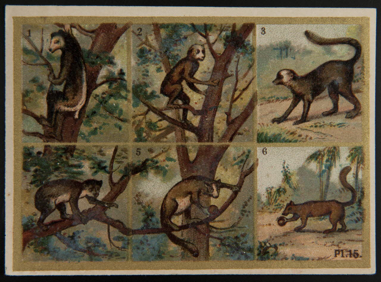 Alphonse Picard ; Kann ; Imprimerie H. Laas carte réclame chromo Paris 1878-1905 1995.1.966.8 Photo