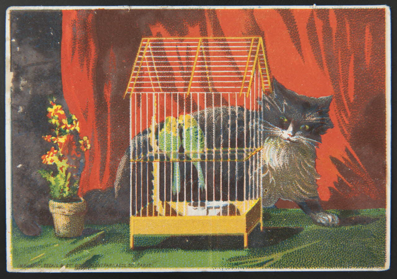 Leroy, Sécail et Cie carte réclame chromo Paris 1880-1920 1996.40.1017.1 Photo