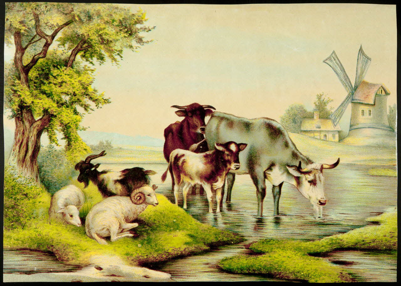 carte réclame chromo 1996.40.102 Photo