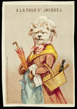 P. Mouillot carte réclame chromo Paris 1880-1920 1996.40.1031.4 Photo