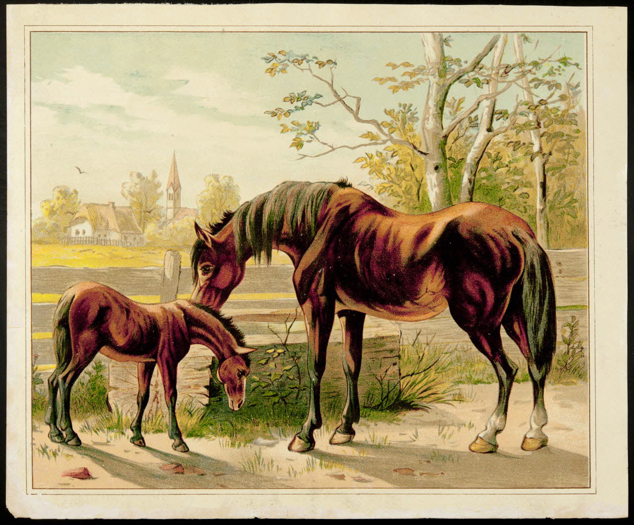 carte réclame chromo 1996.40.107 Photo