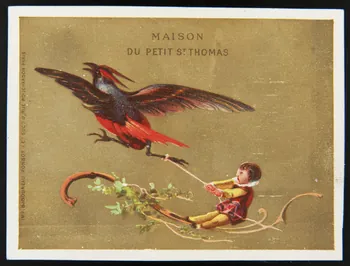 Badoureau, Ponsot carte réclame chromo Paris 1870-1880 1996.40.1073.6 Photo