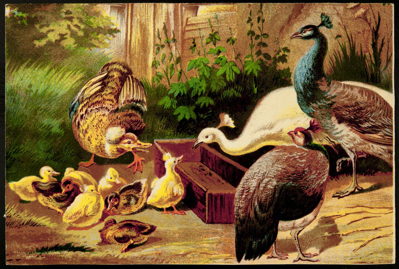 carte réclame chromo 1996.40.108 Photo