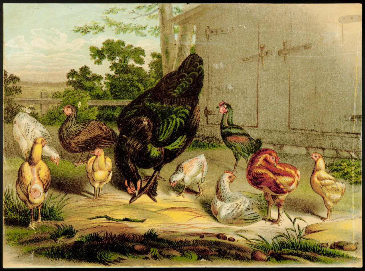 carte réclame chromo 1996.40.109 Photo