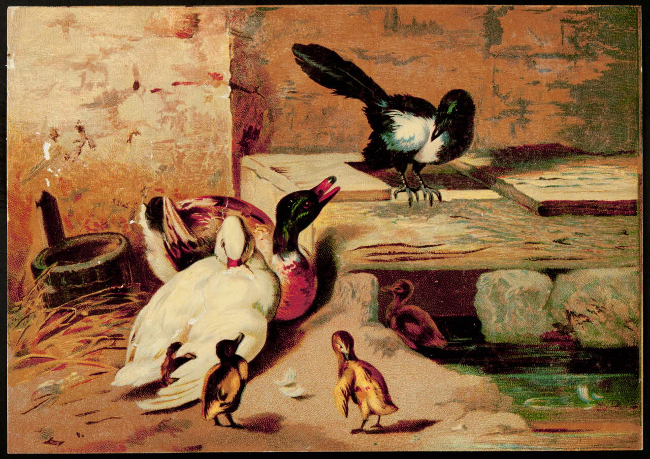 carte réclame chromo 1996.40.112 Photo