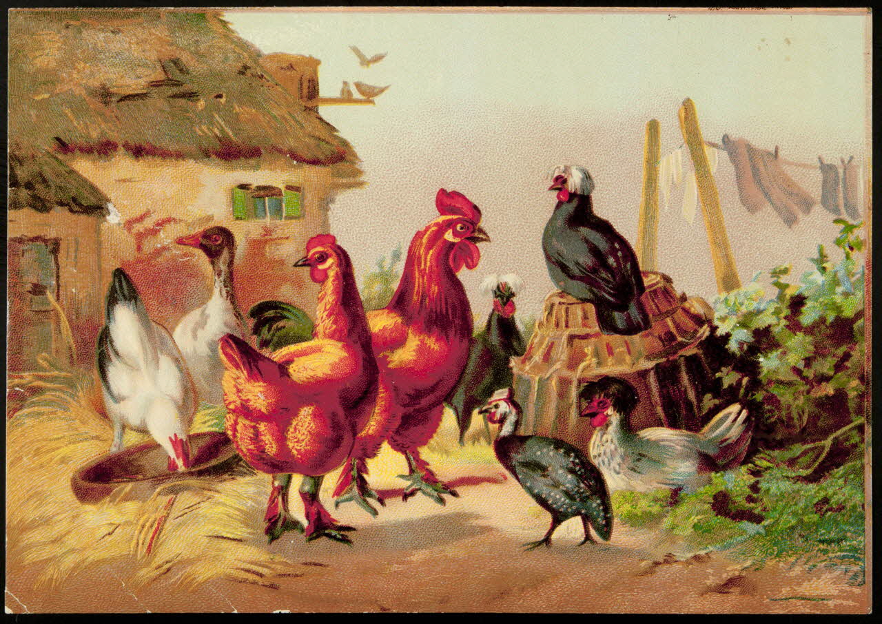 carte réclame chromo 1996.40.113 Photo