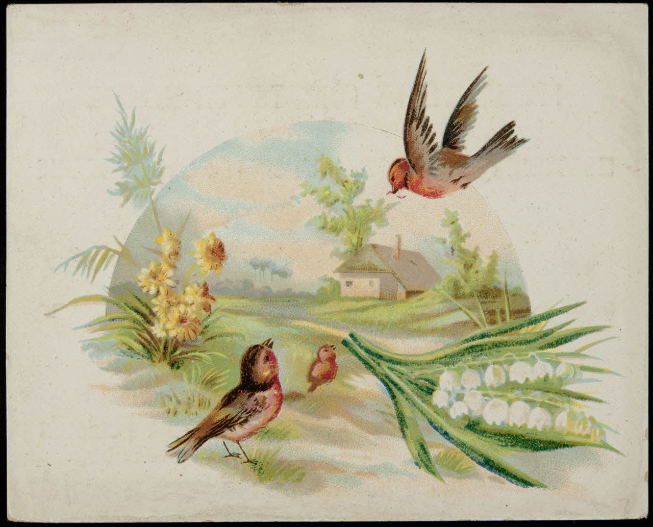 Verger carte réclame chromo Paris 1878-1914 1996.40.1188.2 Photo