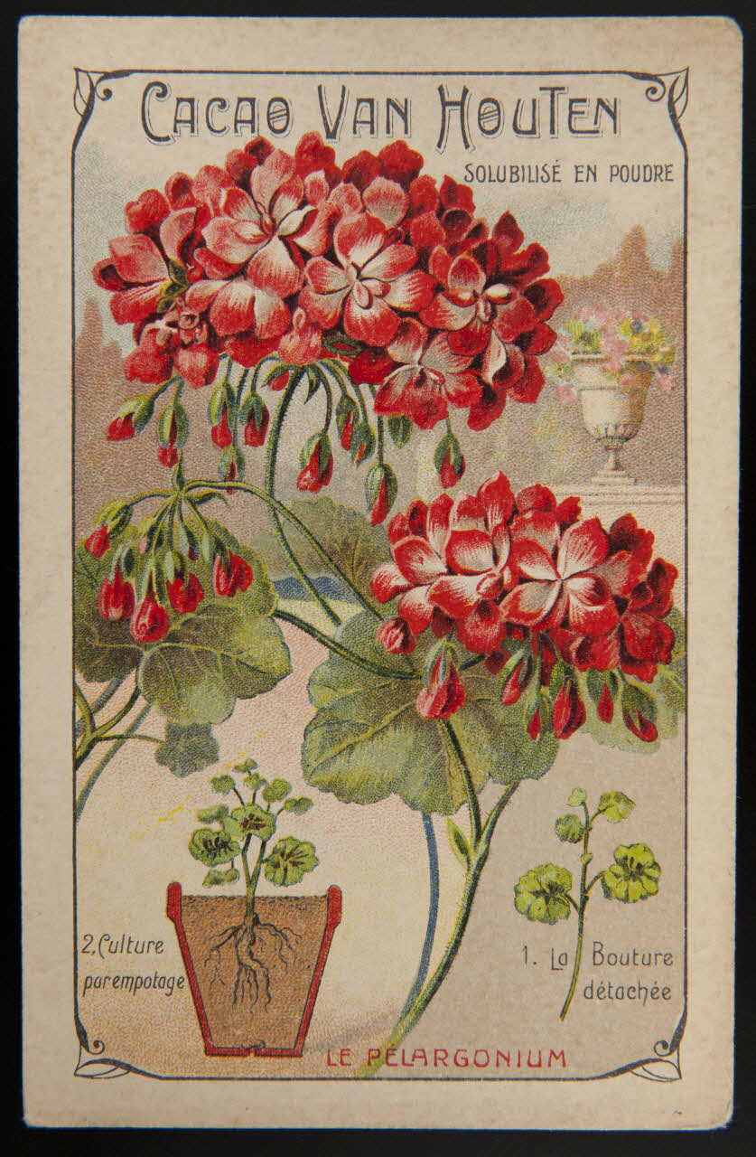 carte réclame chromo 1996.40.1279.5 Photo