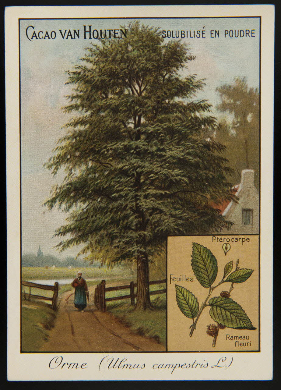 carte réclame chromo 1996.40.1281.10 Photo