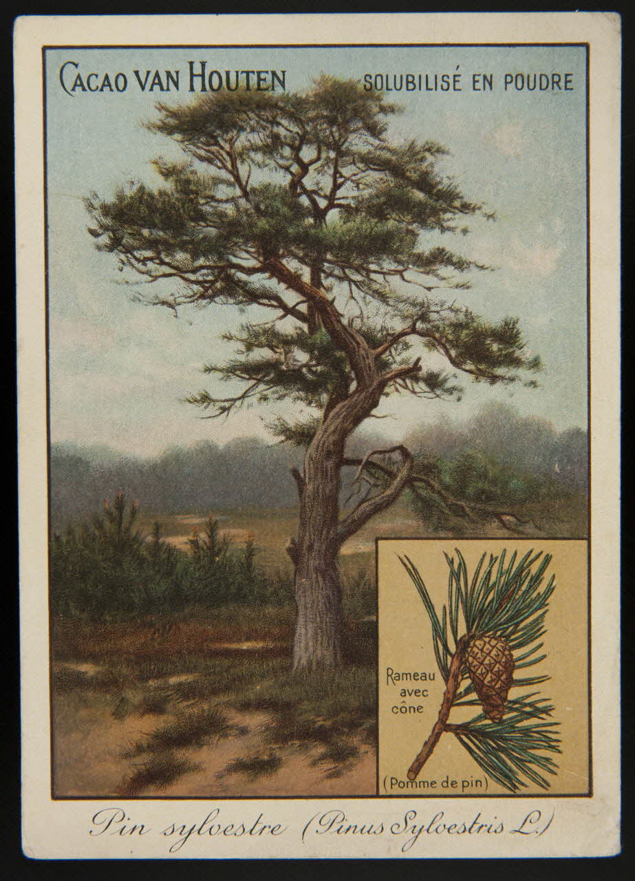 carte réclame chromo 1996.40.1281.11 Photo