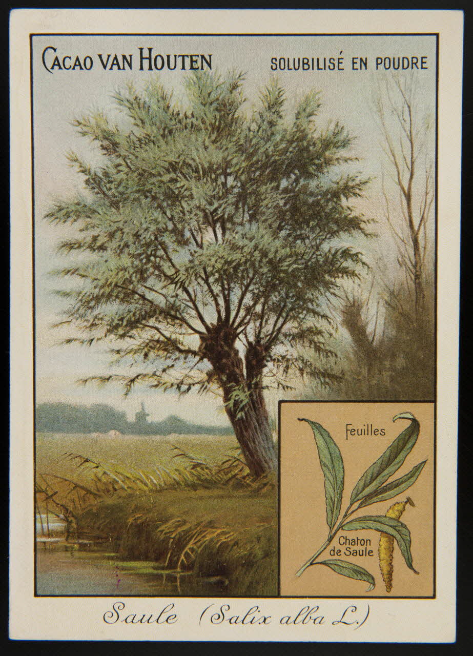 carte réclame chromo 1996.40.1281.14 Photo