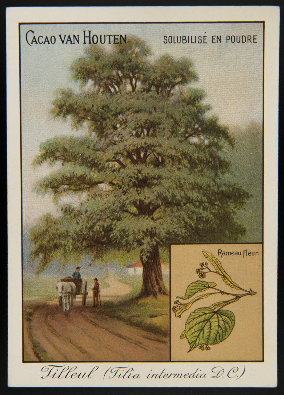 carte réclame chromo 1996.40.1281.17  Photo