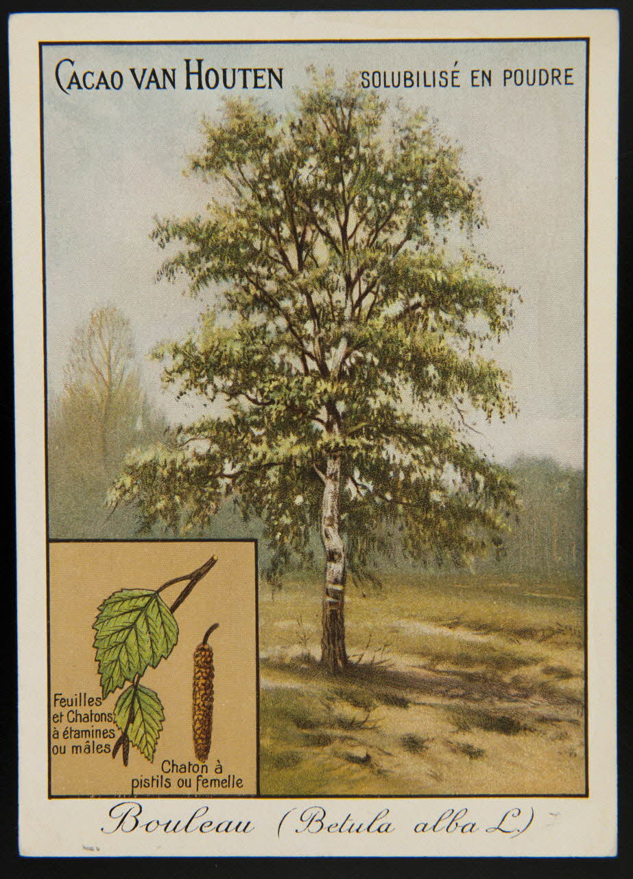 carte réclame chromo 1996.40.1281.2 Photo