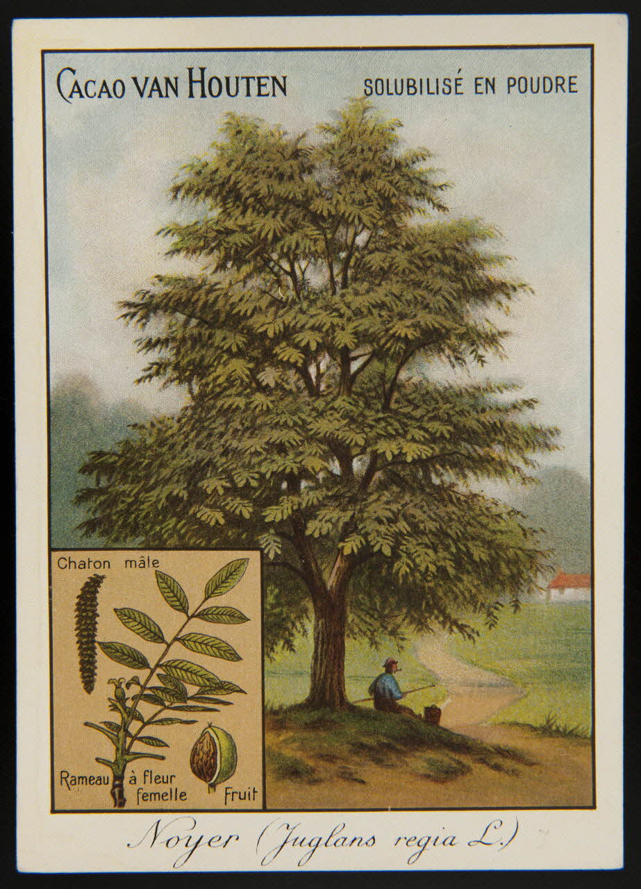 carte réclame chromo 1996.40.1281.9 Photo