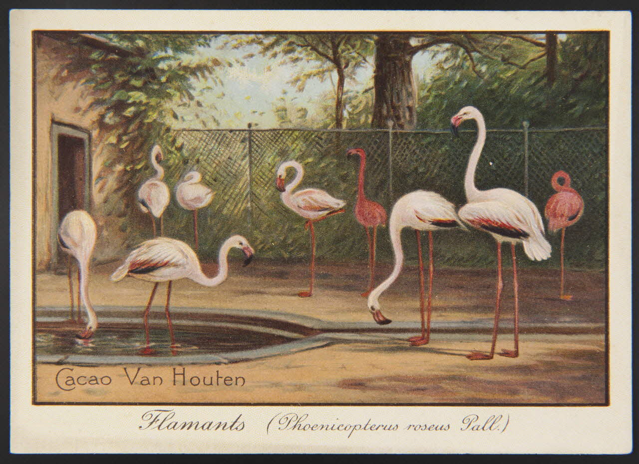 carte réclame chromo 1996.40.1282.3 Photo