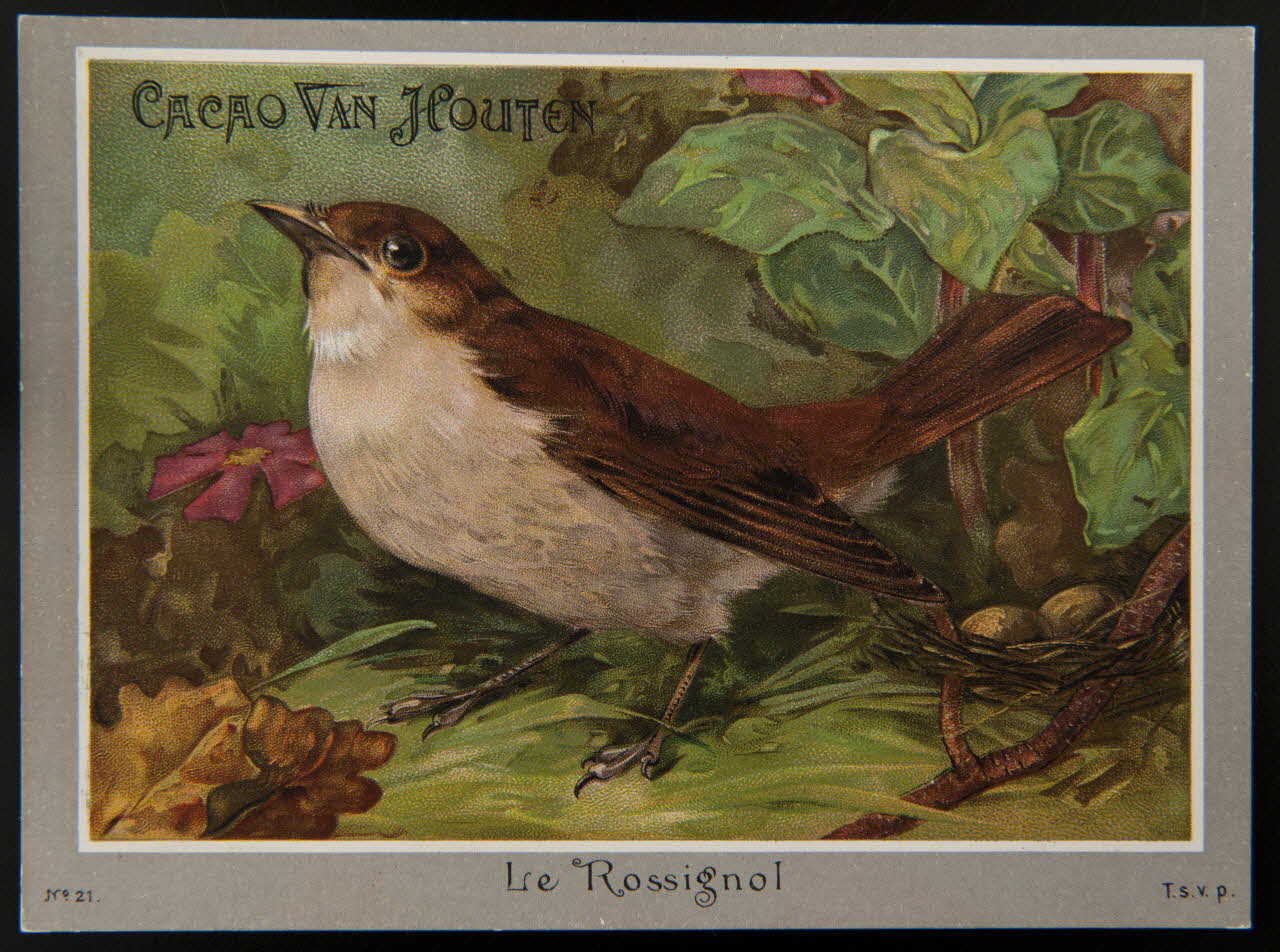 carte réclame chromo 1996.40.1289.21 Photo