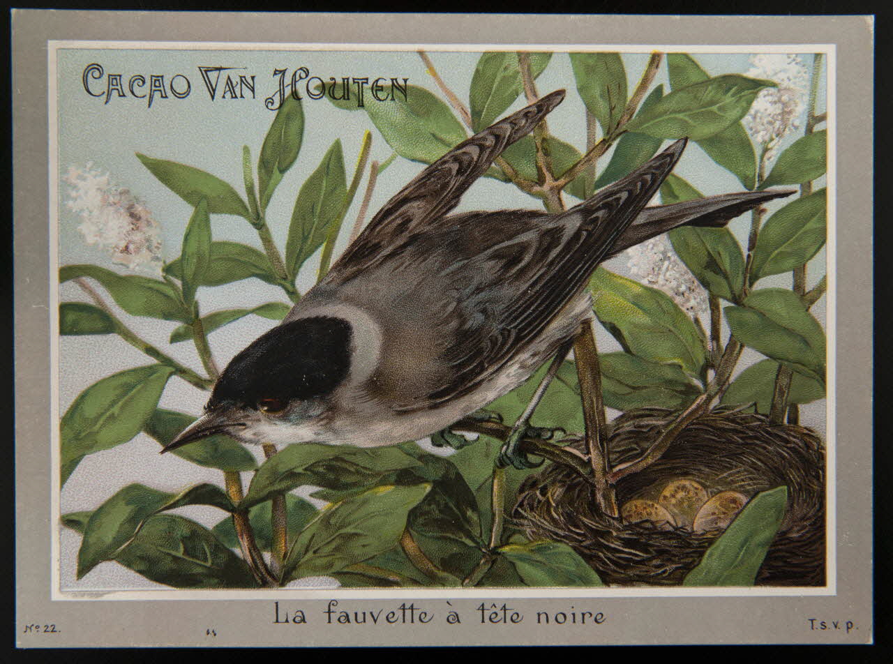 carte réclame chromo 1996.40.1289.22 Photo