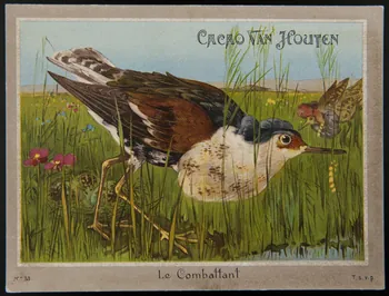 carte réclame chromo 1996.40.1289.32  Photo