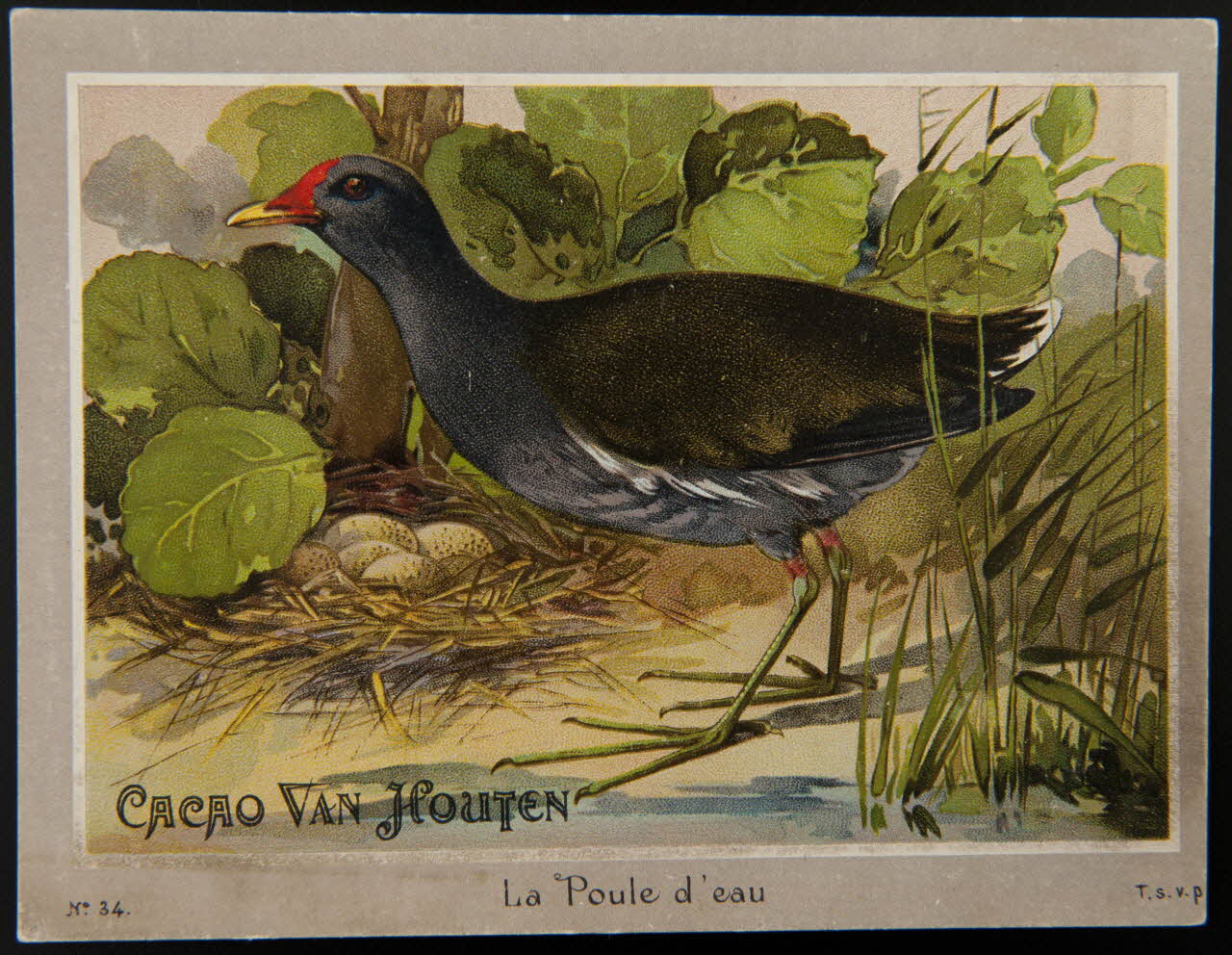 carte réclame chromo 1996.40.1289.33 Photo