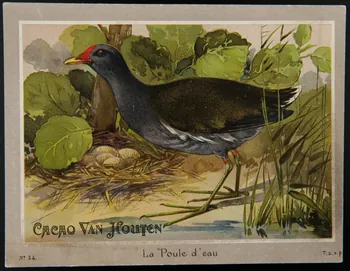 carte réclame chromo 1996.40.1289.33 Photo