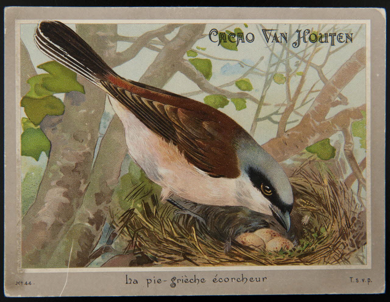 carte réclame chromo 1996.40.1289.42 Photo