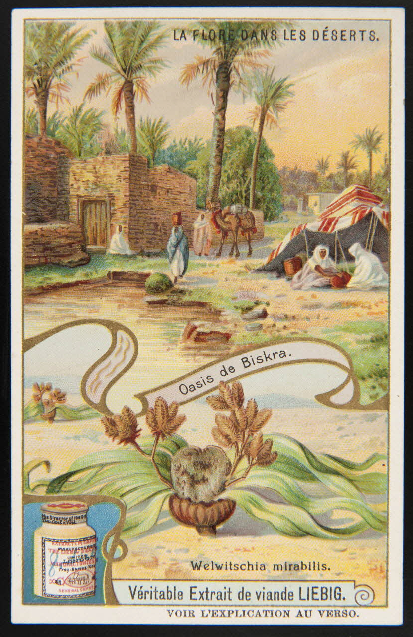 carte réclame chromo 1996.40.1388.1 Photo