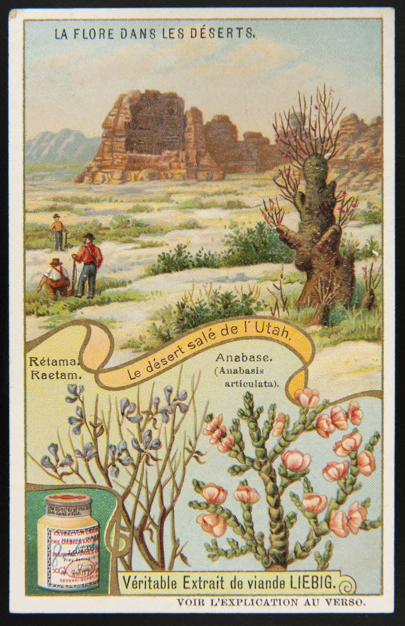 carte réclame chromo 1996.40.1388.2 Photo