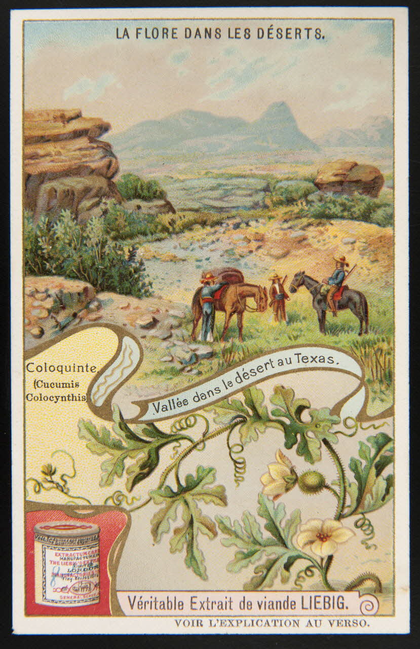 carte réclame chromo 1996.40.1388.4 Photo