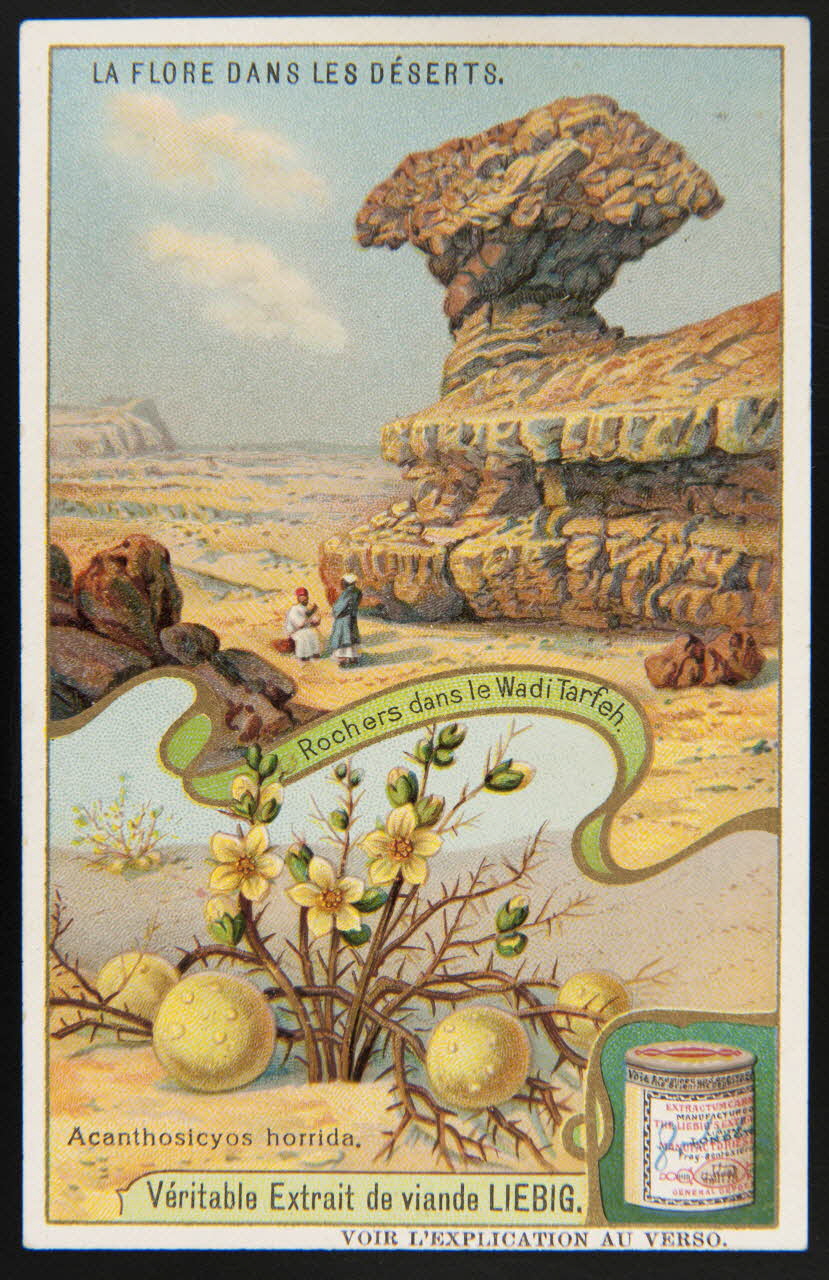 carte réclame chromo 1996.40.1388.5 Photo